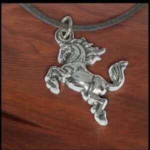 Silver Stallion Medallion Necklace Brown Suede Cord Earthy Neutral Westerncore